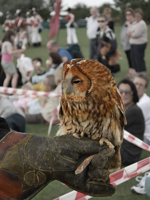 DoS 2010: Return of Dr Syn: The Bank Holiday Monday Fete