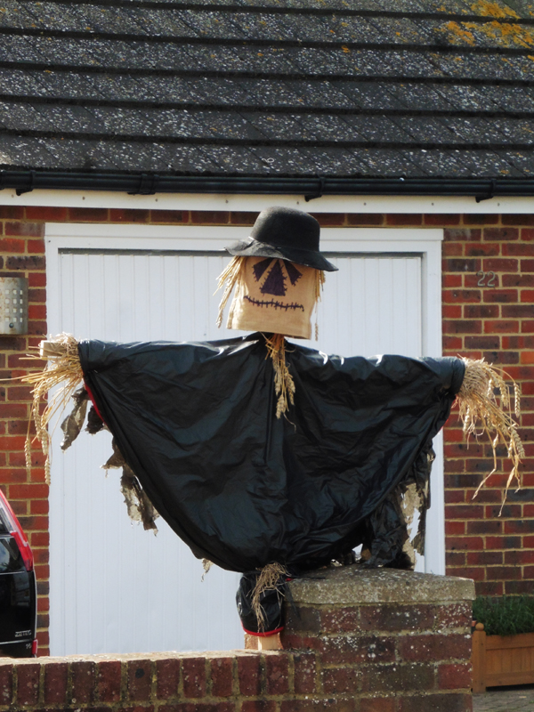 Scarecrow Display