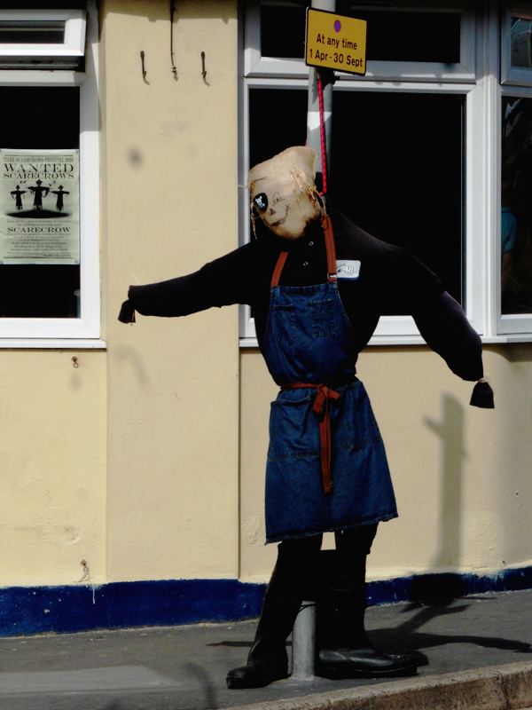 Scarecrow Display